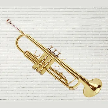 Alta qualidade trombeta MTR-200 Bb B flat trompete instrumento com hard case, boquilha, pano e luvas de ouro